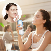 Увлажнитель для кожи лица ультразвуковой портативный нано спрей Nano Mist Soraver