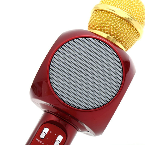 Микрофон караоке WSTER WS-1816 - беспроводной Bluetooth микрофон с cветомузыкой слотом USB и FM тюнером