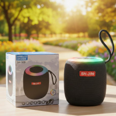 Колонка SH309 BT 100 Вт с глубоким басом черная