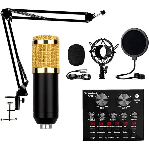 Конденсаторный микрофон Music M-800 студийный с поп фильтром стойкой и ветрозащитой